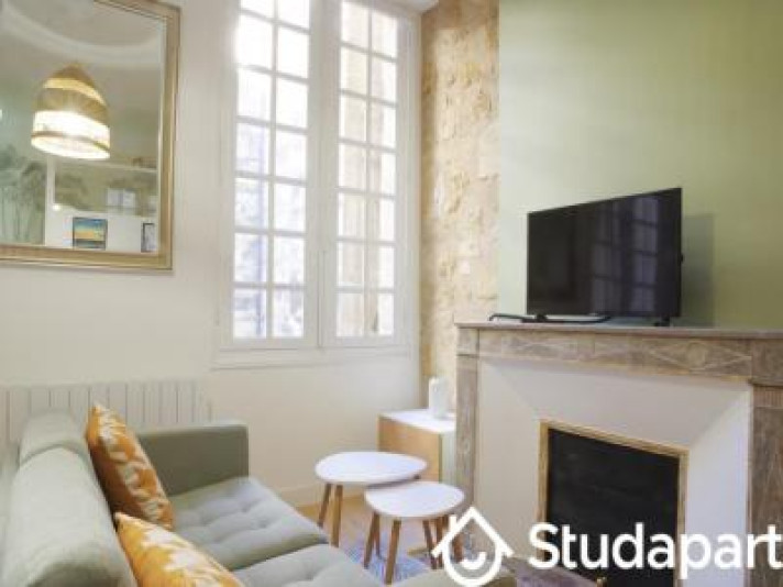 Voir la photo 1/61 du type apartment à Bordeaux