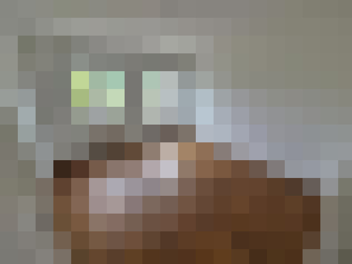  / #8