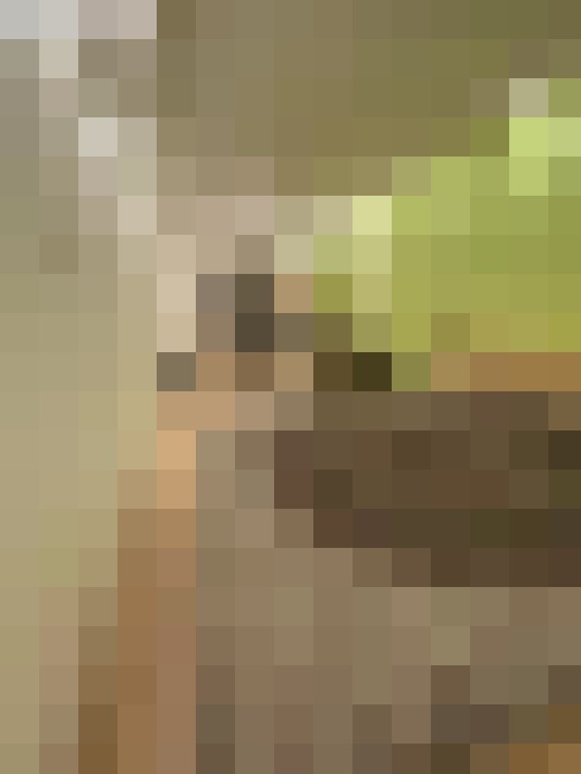  / #15