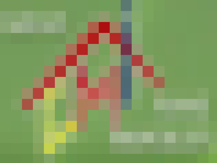  / #6