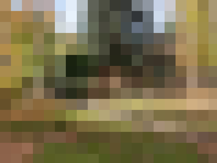  / #16