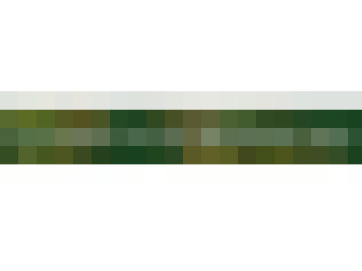  / #11