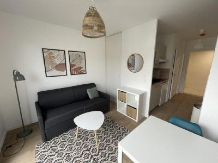 Voir la photo 1/16 du type apartment à Nantes