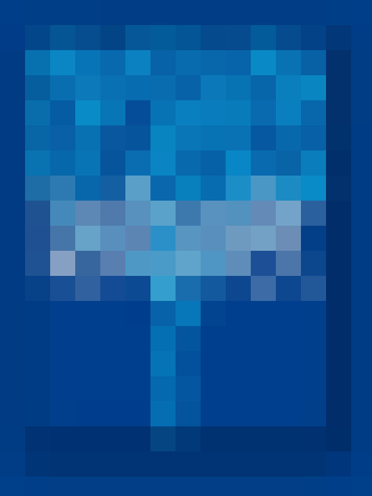  / #16
