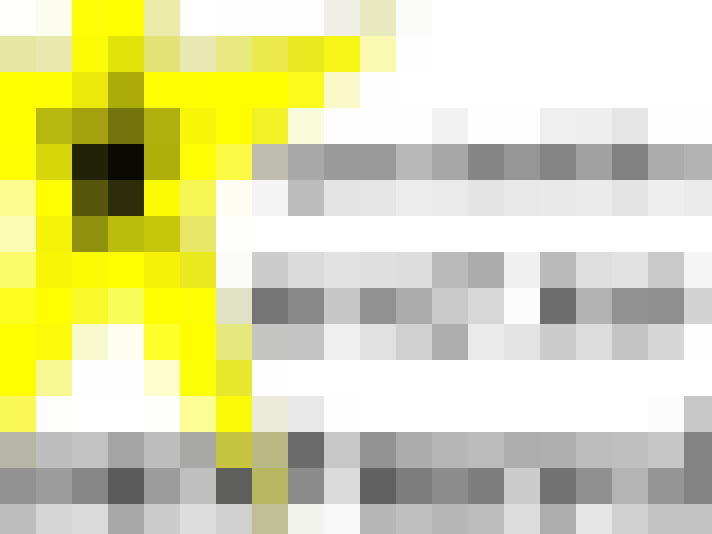  / #14