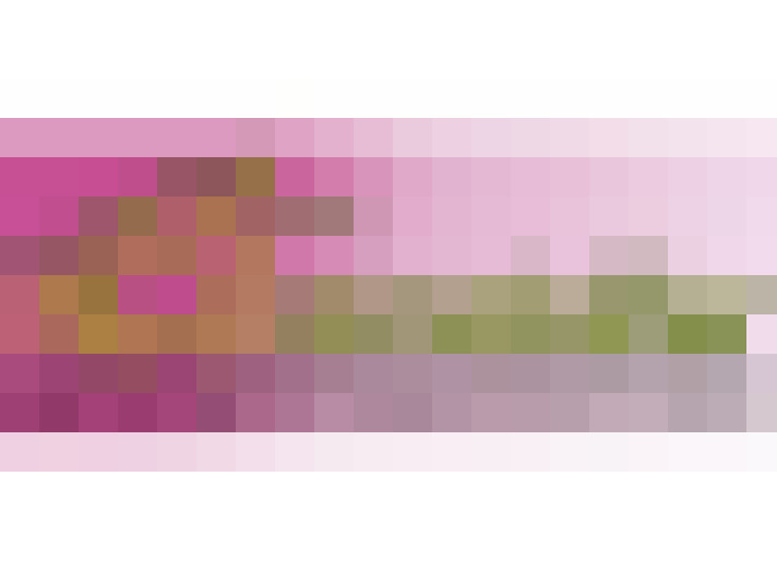  / #21