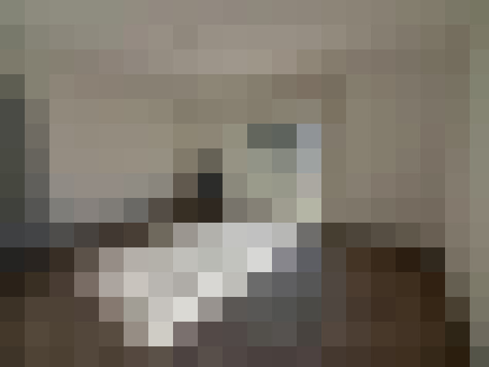  / #15