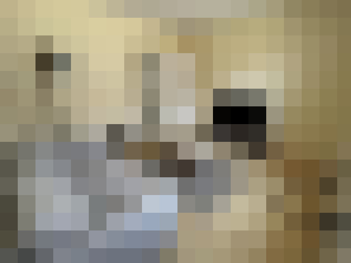  / #8