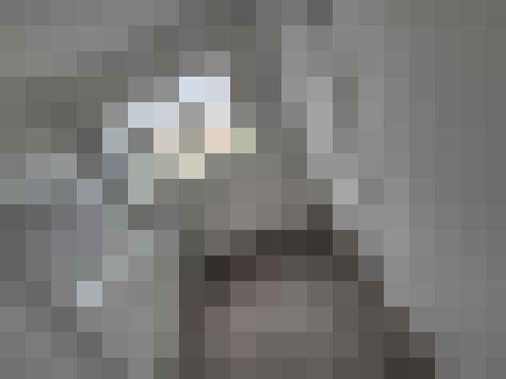  / #11