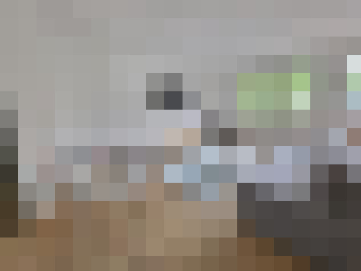  / #11