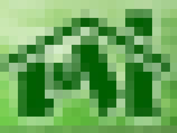  / #8