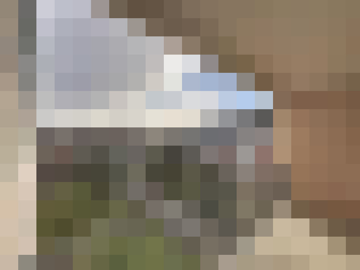  / #17
