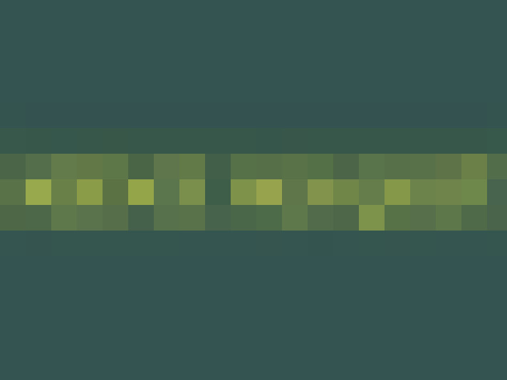  / #16