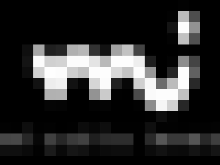  / #7