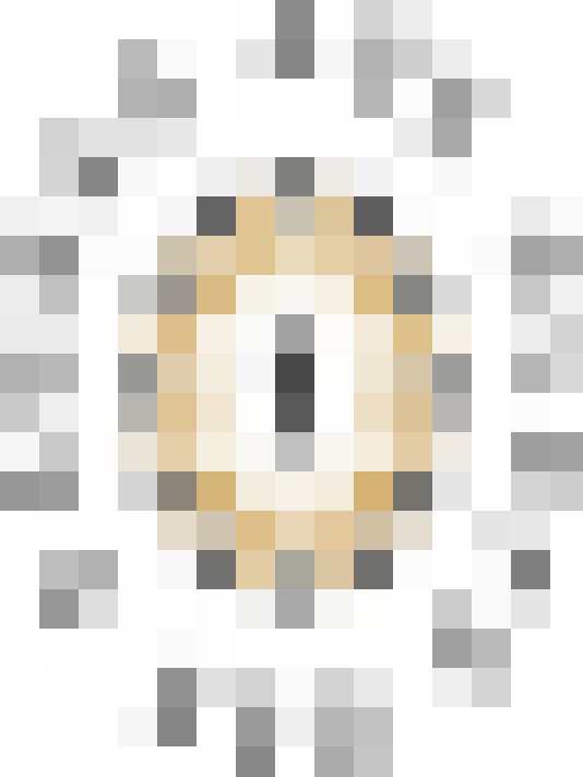  / #6