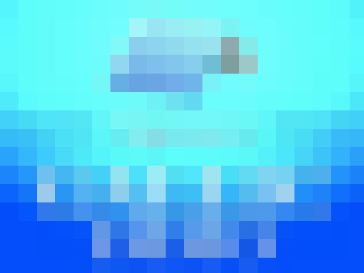  / #6