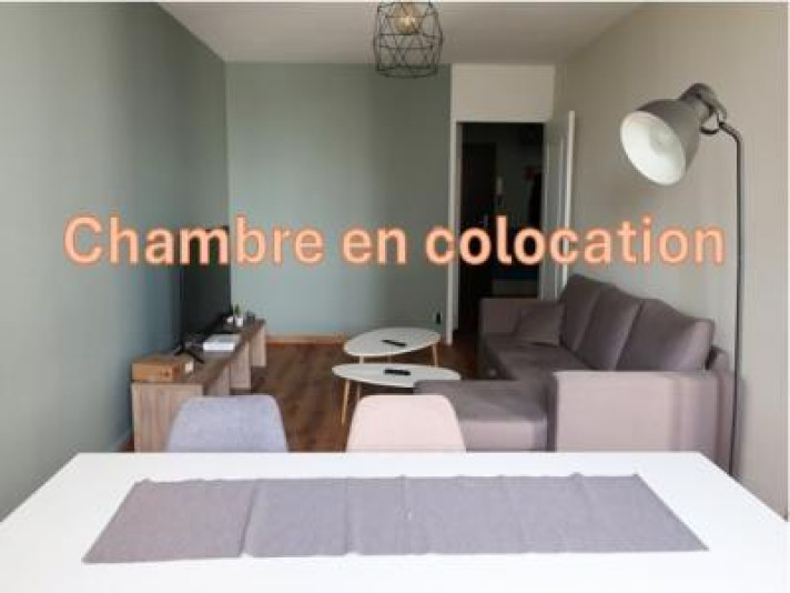 Voir la photo 1/11 du type apartment à Lyon 8e Arrondissement