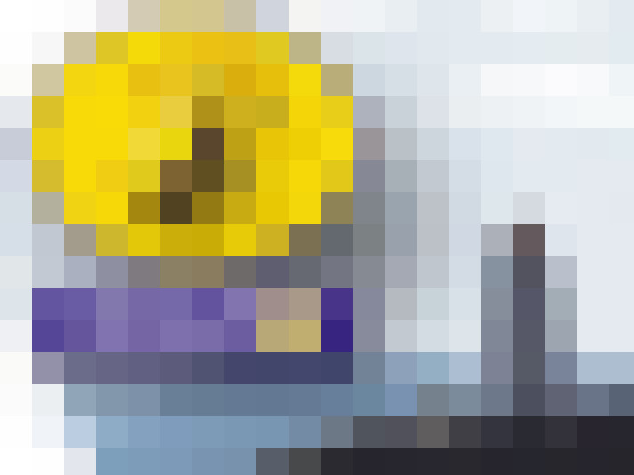  / #17