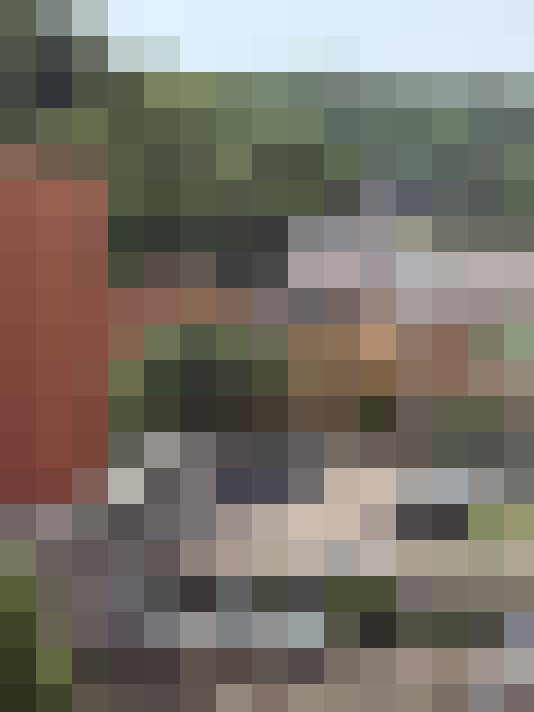  / #15