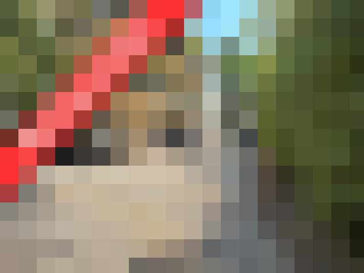  / #7