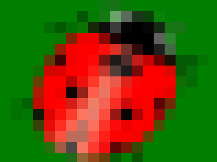  / #19