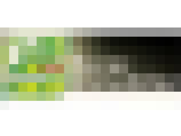  / #11