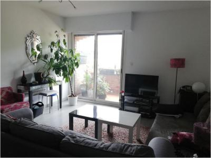 Voir la photo 1/65 du type apartment à Toulouse