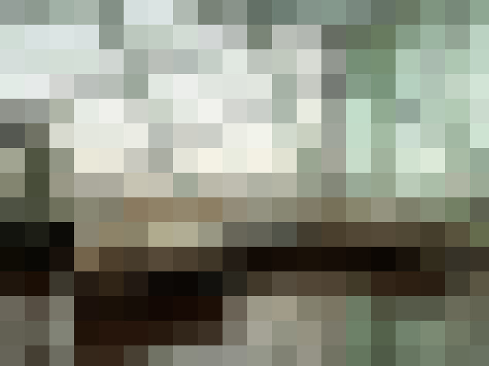  / #8