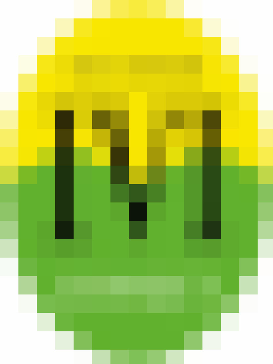  / #6
