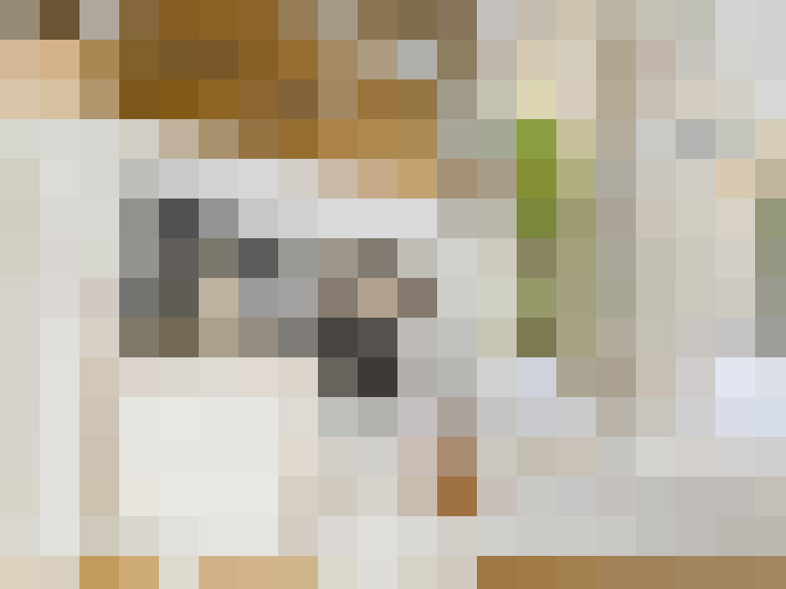  / #12