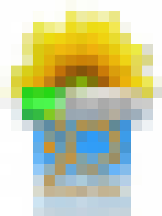  / #6