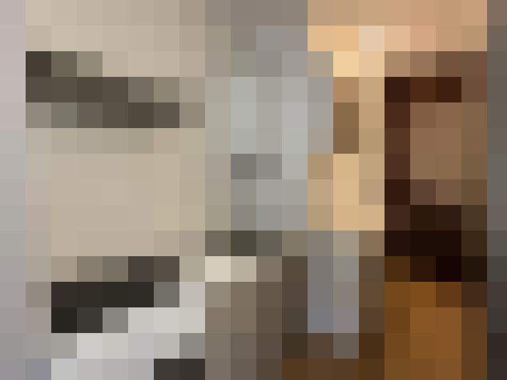  / #14
