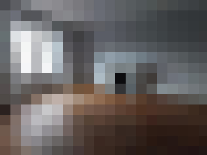  / #31