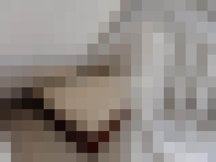  / #7