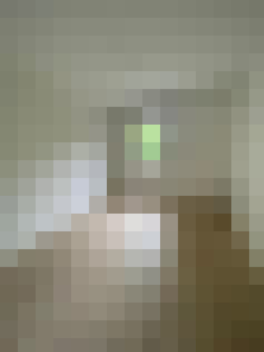  / #15