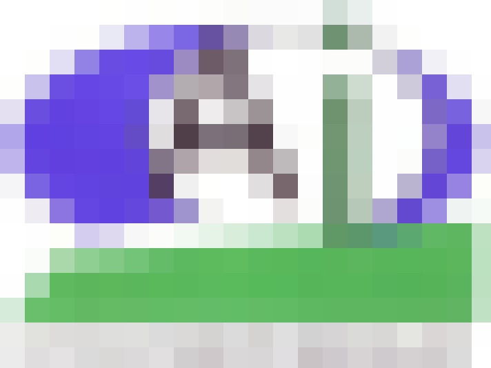  / #11