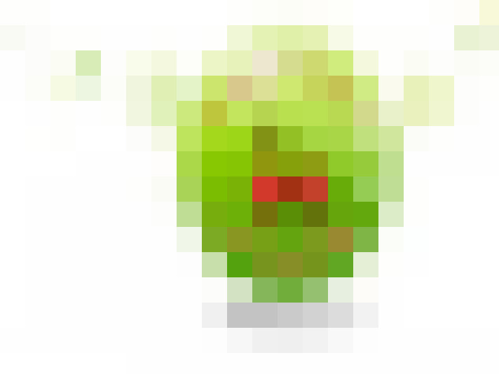 / #16
