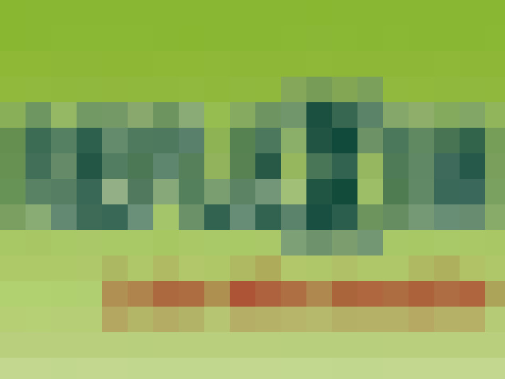  / #27