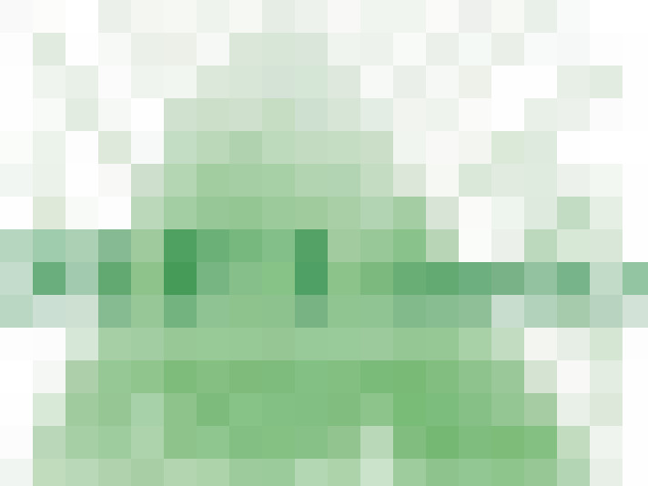  / #19