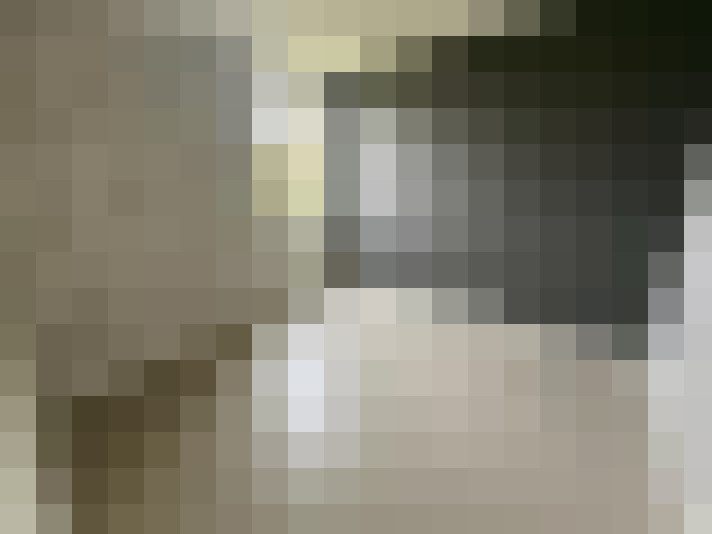  / #19