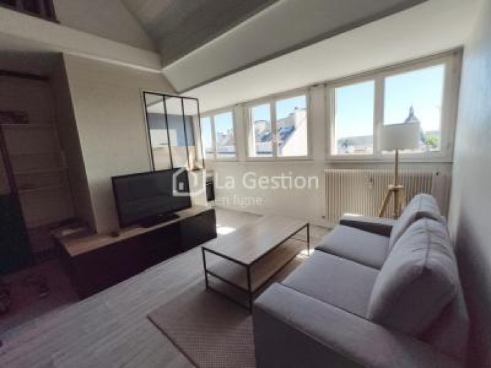 Voir la photo 1/28 du type apartment à Orléans
