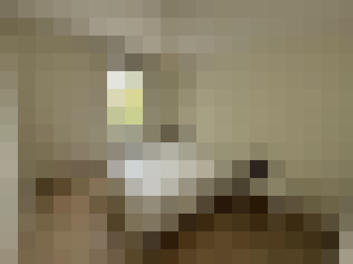  / #15