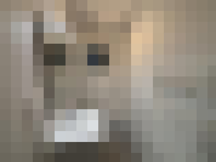  / #15