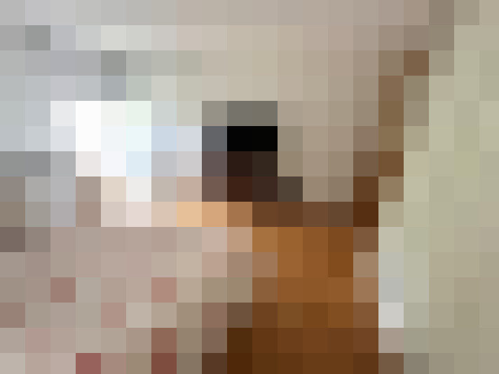  / #15
