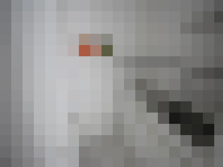  / #14