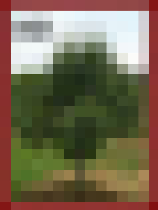  / #24