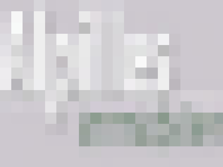  / #55