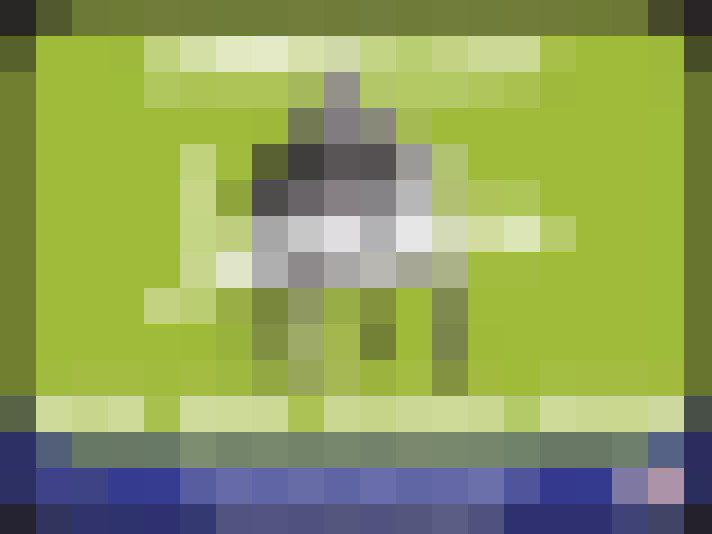  / #6