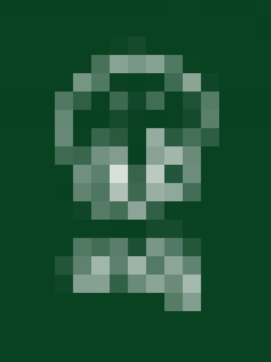  / #11