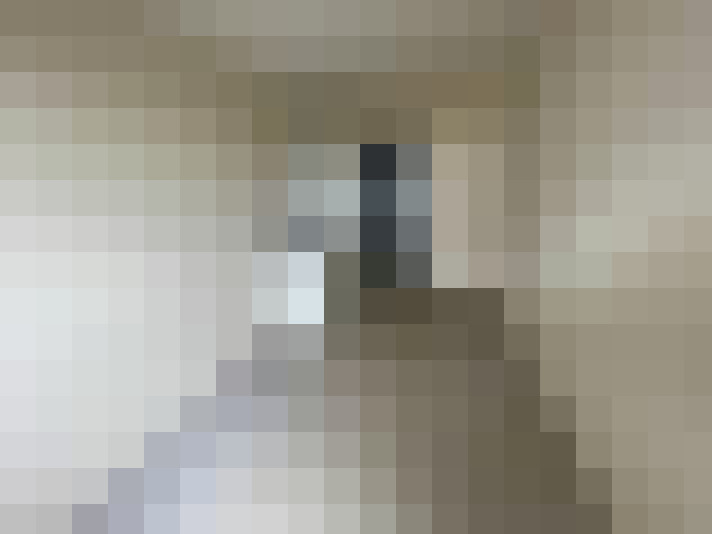  / #16